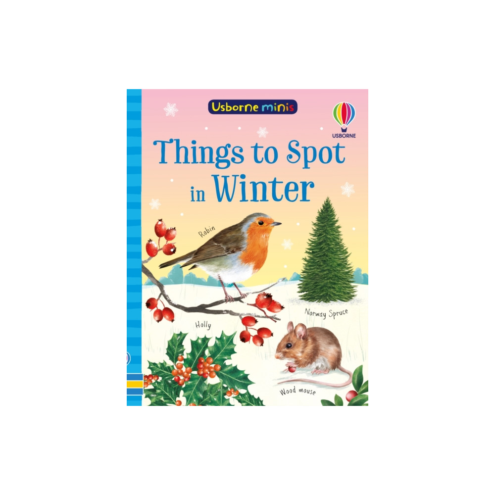 Produktbild för Things to Spot in Winter (häftad, eng)