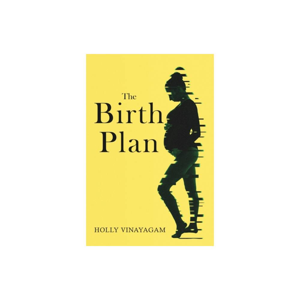 Produktbild för The Birth Plan (häftad, eng)