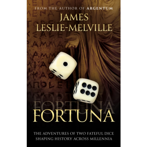 The Book Guild Ltd Fortuna (häftad, eng)