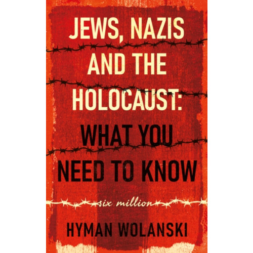 Troubador Publishing Jews, Nazis and the Holocaust: What You Need to Know (häftad, eng)