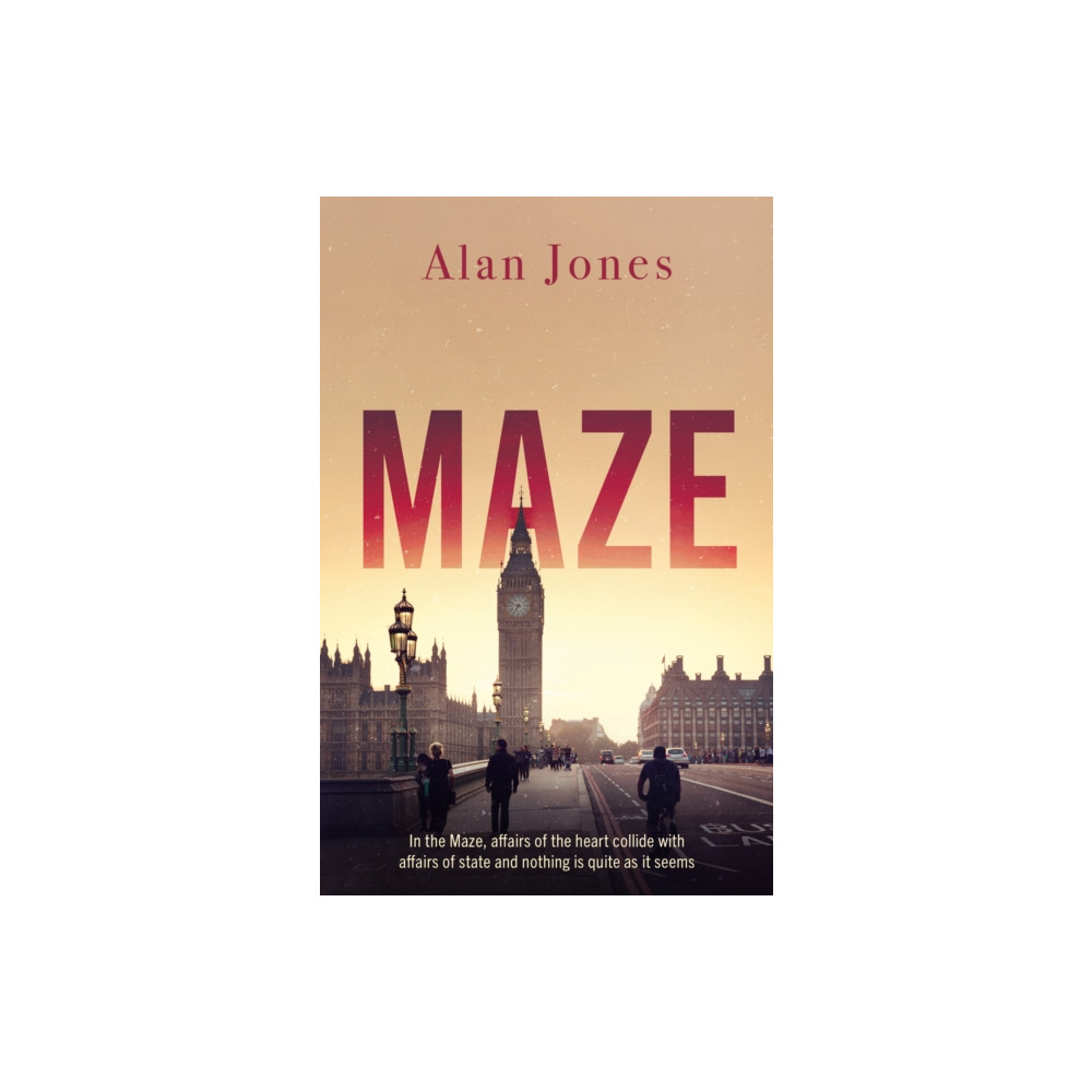 Produktbild för Maze (häftad, eng)