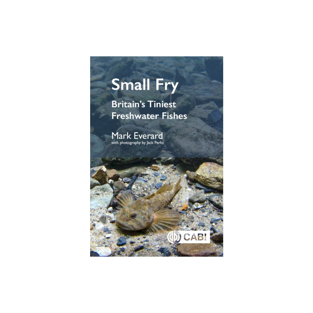 Produktbild för Small Fry (häftad, eng)