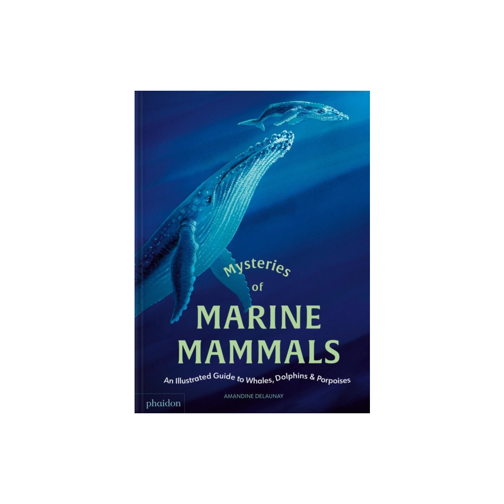 Produktbild för Mysteries of Marine Mammals (inbunden, eng)