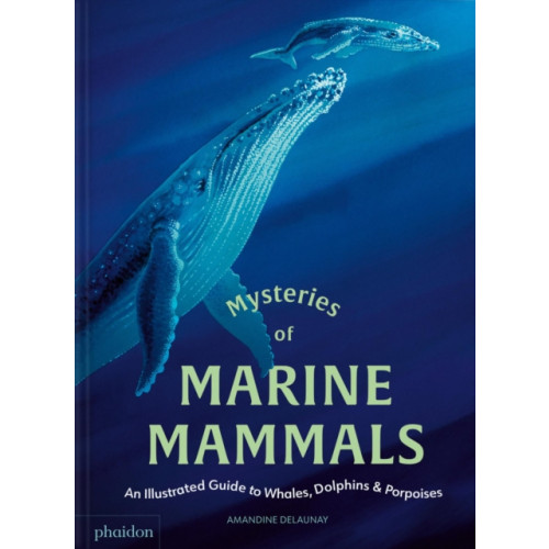 Phaidon Press Ltd Mysteries of Marine Mammals (inbunden, eng)