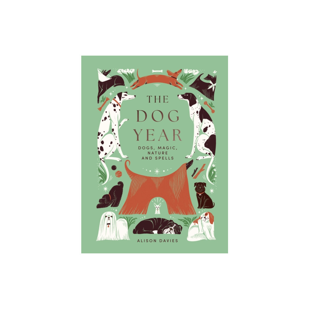 Produktbild för The Dog Year (inbunden, eng)