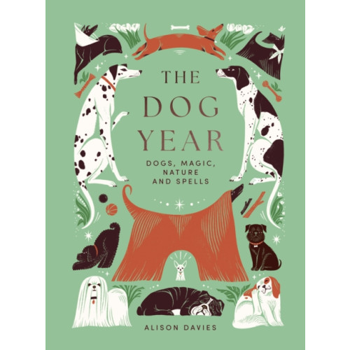 Quadrille Publishing Ltd The Dog Year (inbunden, eng)