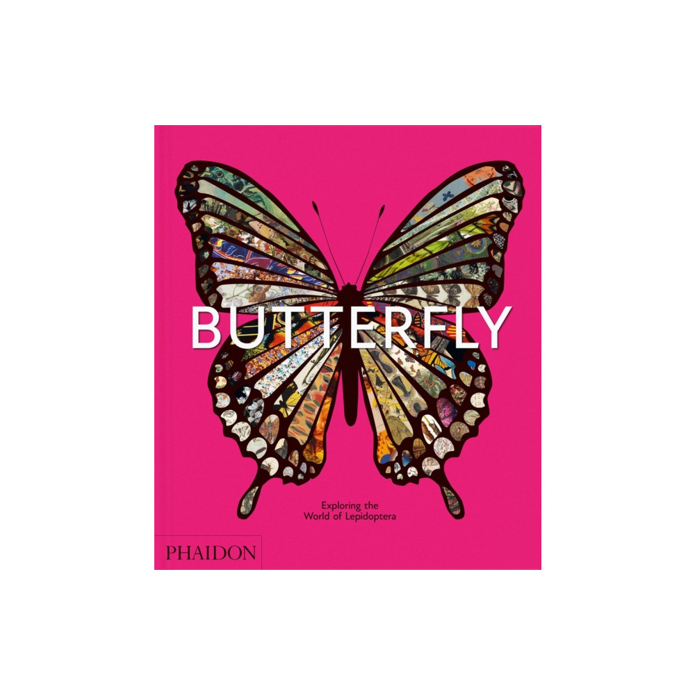 Produktbild för Butterfly (inbunden, eng)