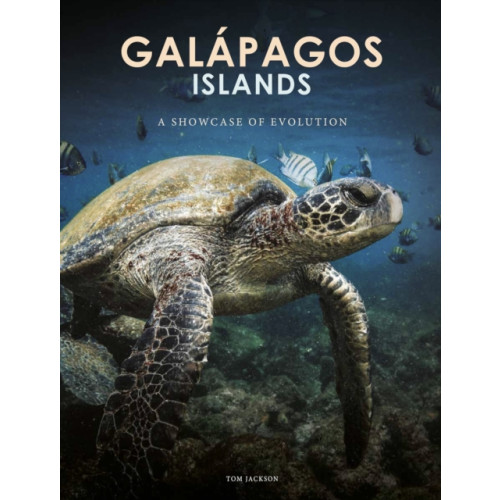 Amber Books Ltd Galapagos Islands (inbunden, eng)