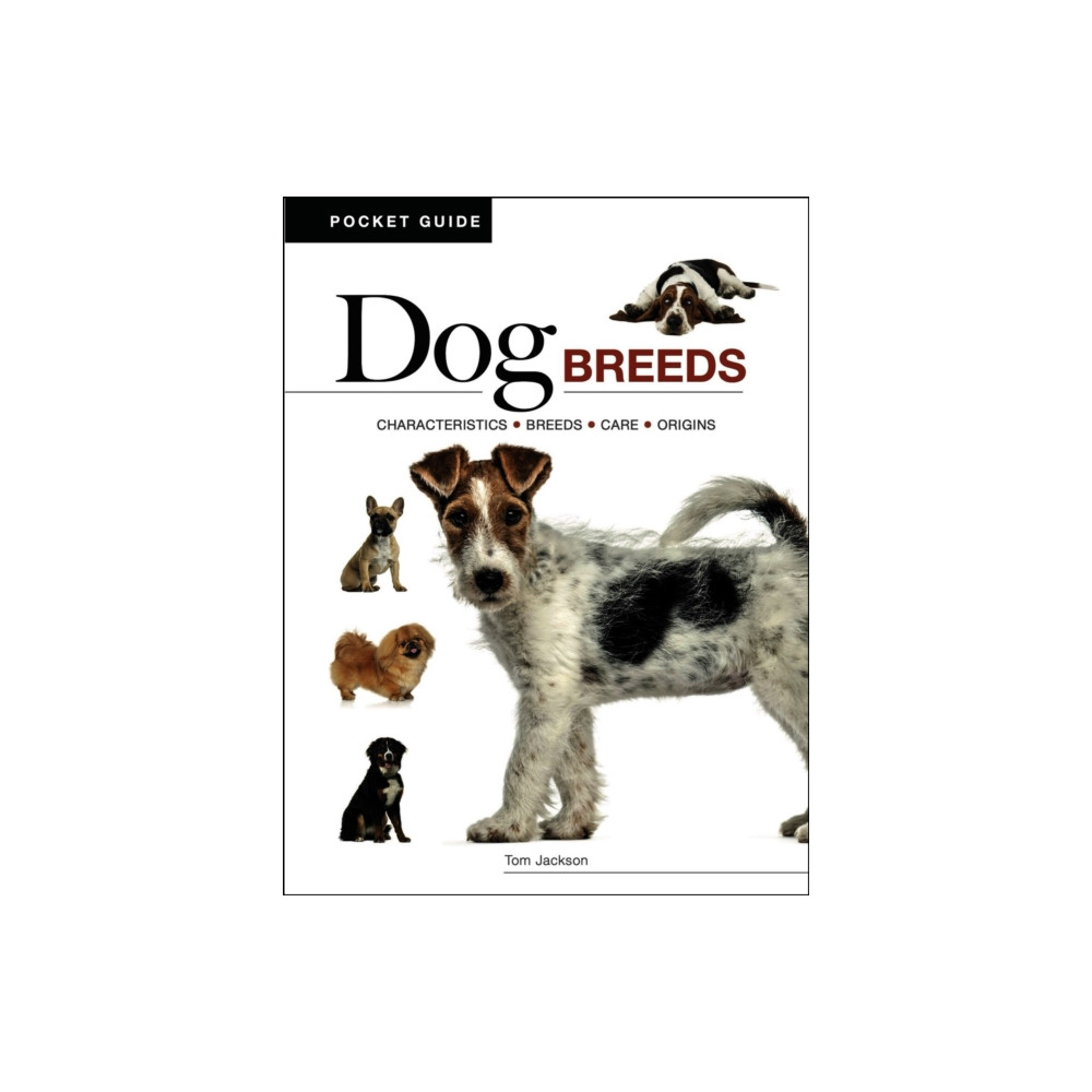 Produktbild för Dog Breeds (häftad, eng)