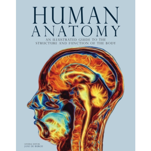 Amber Books Ltd Human Anatomy (inbunden, eng)