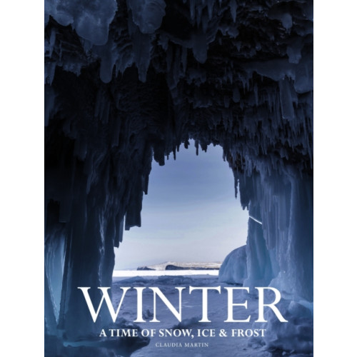Amber Books Ltd Winter (inbunden, eng)
