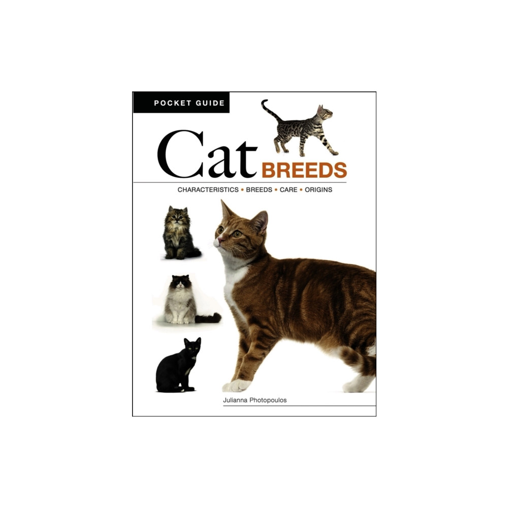 Produktbild för Cat Breeds (häftad, eng)