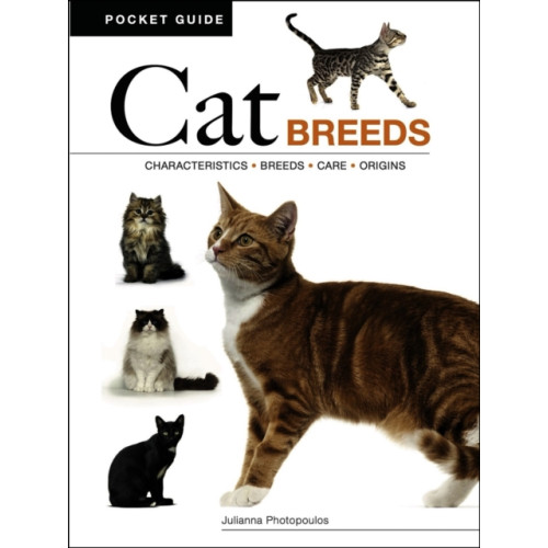 Amber Books Ltd Cat Breeds (häftad, eng)