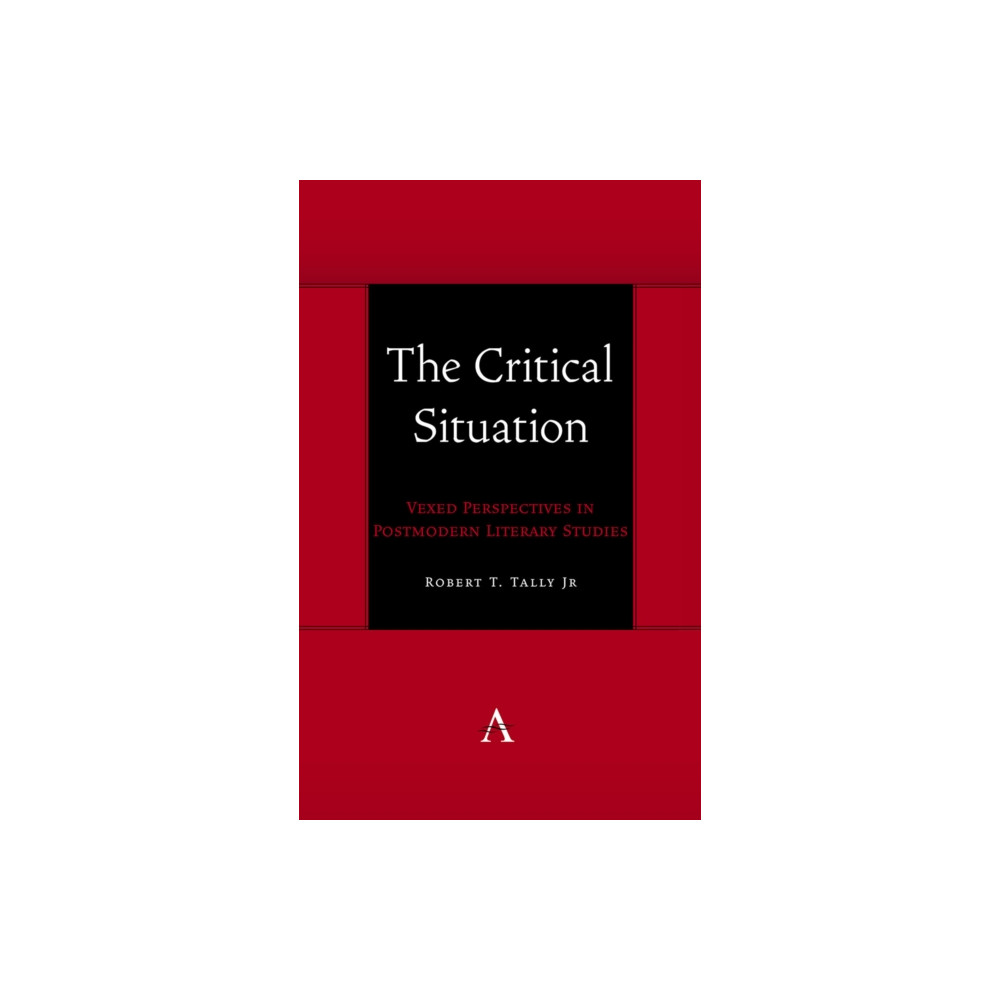 Produktbild för The Critical Situation (häftad, eng)