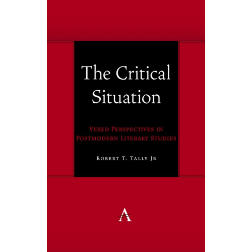 Anthem press The Critical Situation (häftad, eng)