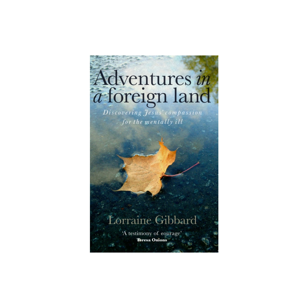 Produktbild för Adventures in a Foreign Land (häftad, eng)