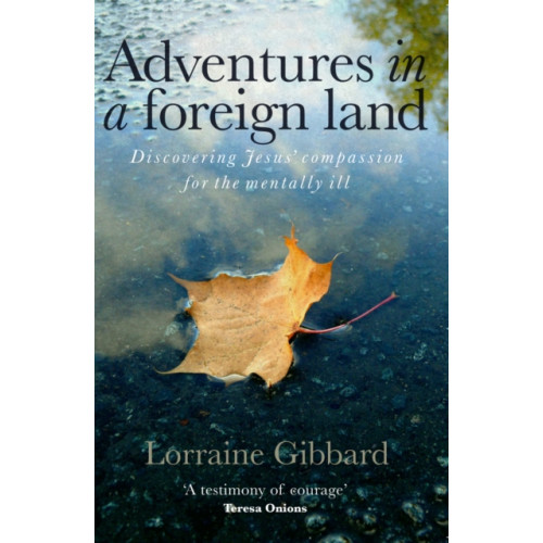 Instant apostle Adventures in a Foreign Land (häftad, eng)