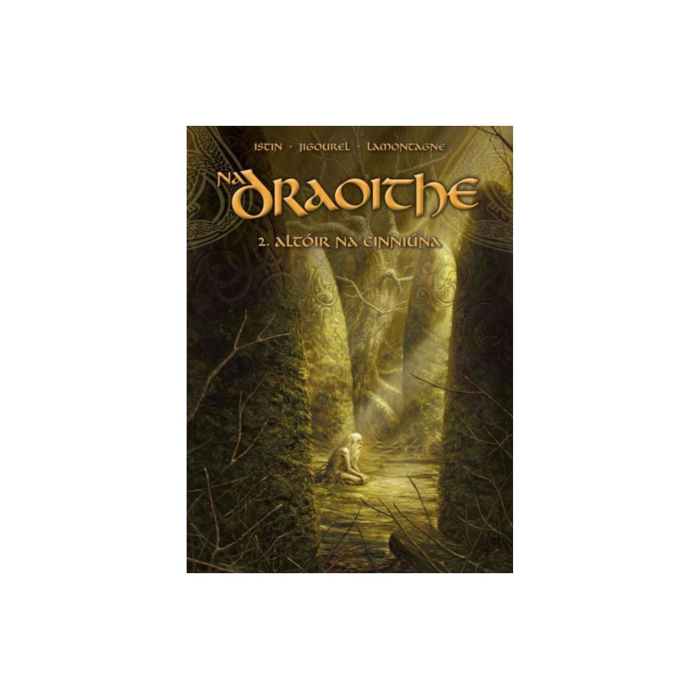 Produktbild för Na Draoithe 2: Altoir na Cinniuna (häftad, gle)