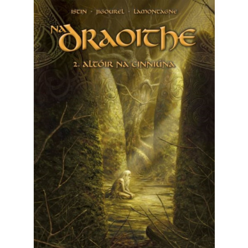 Dalen (Llyfrau) Cyf Na Draoithe 2: Altoir na Cinniuna (häftad, gle)