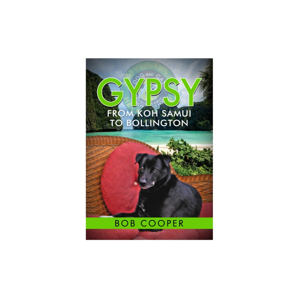 Produktbild för Gypsy - From Koh Samui to Bollington (häftad, eng)