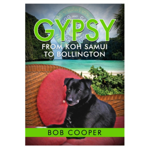 i2i Publishing Gypsy - From Koh Samui to Bollington (häftad, eng)