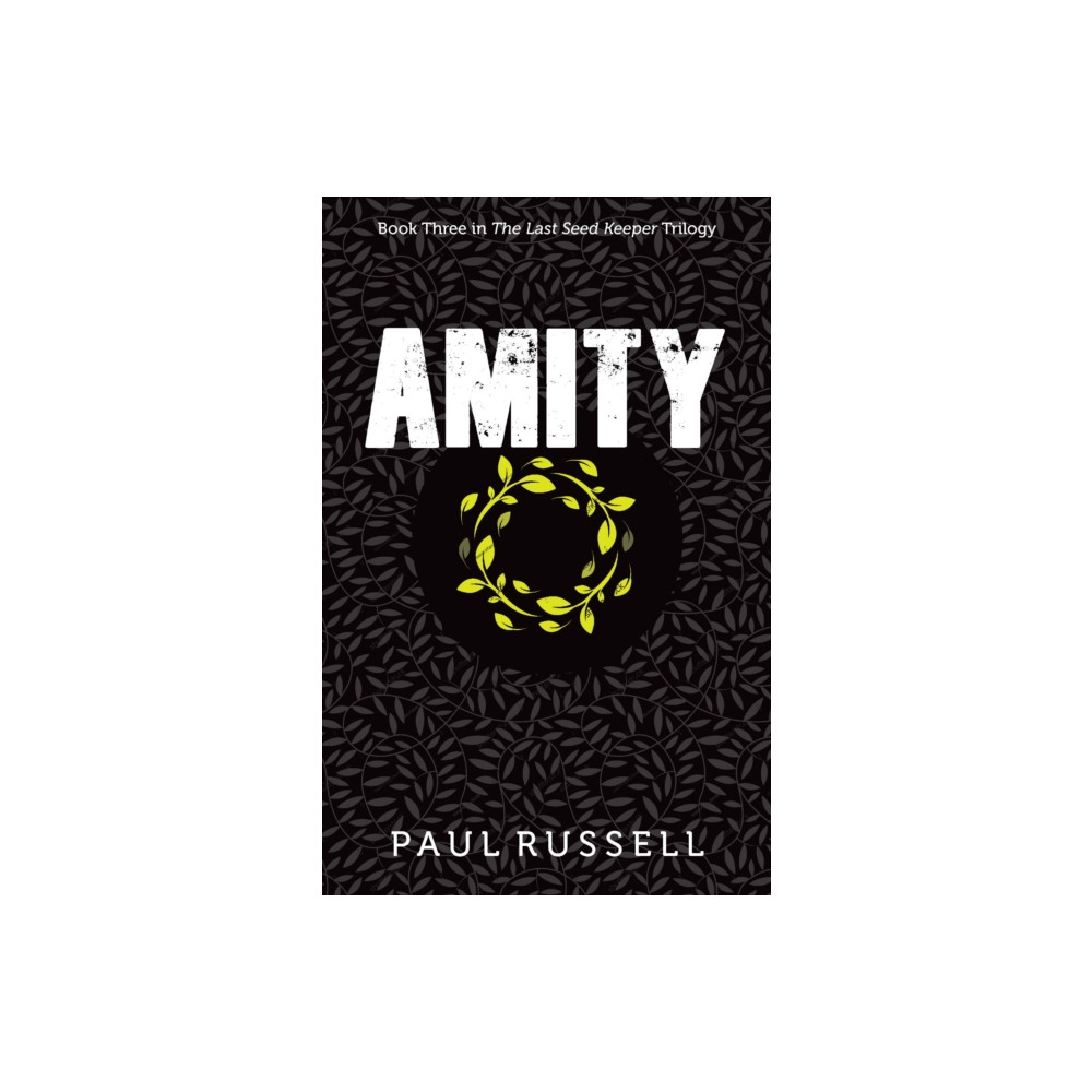 Produktbild för Amity (häftad, eng)
