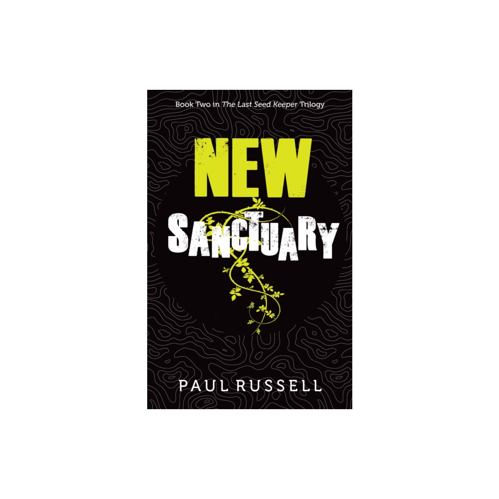Produktbild för New Sanctuary (häftad, eng)