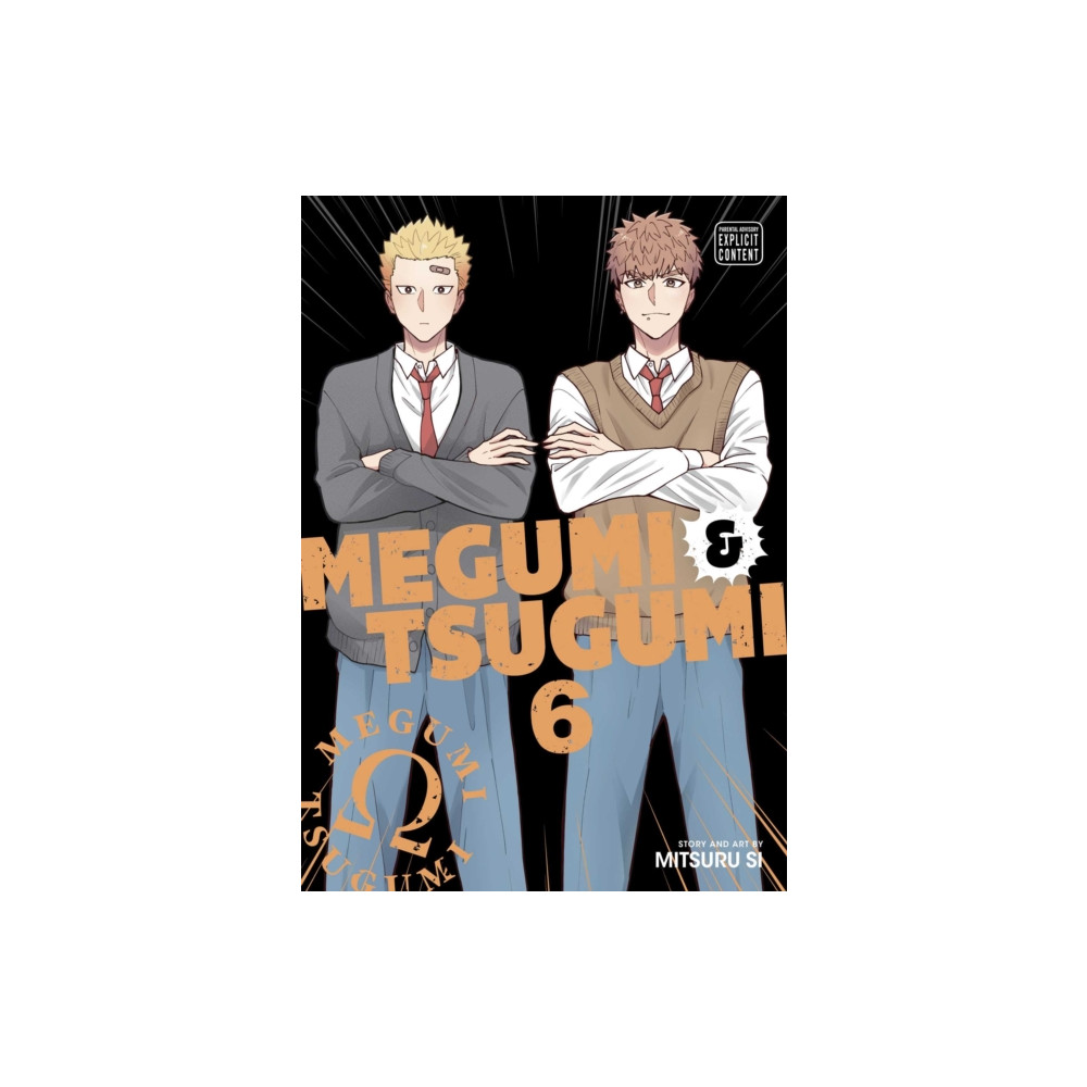 Produktbild för Megumi & Tsugumi, Vol. 6 (häftad, eng)