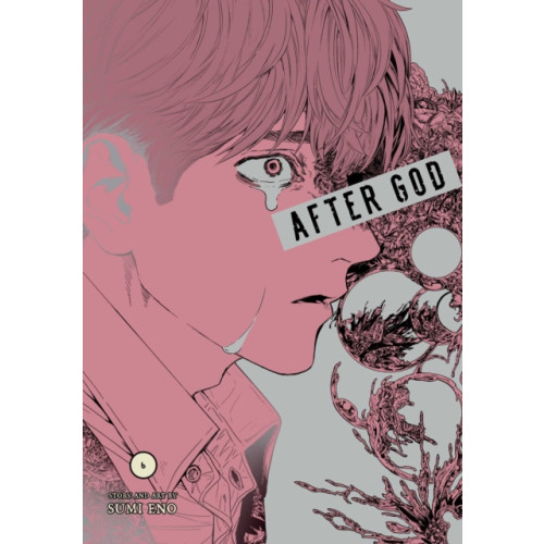 Viz Media, Subs. of Shogakukan Inc After God, Vol. 6 (häftad, eng)