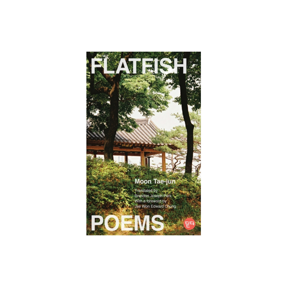 Produktbild för Flatfish (häftad, eng)