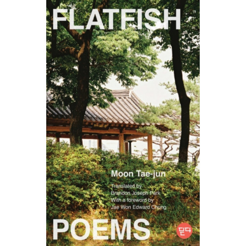 Rutgers University Press Flatfish (häftad, eng)