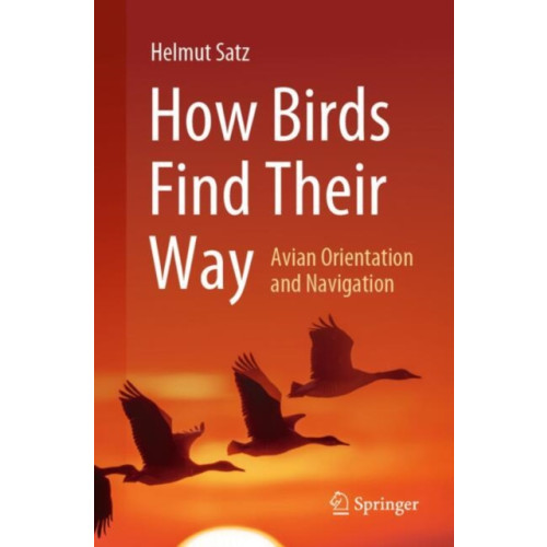 Springer International Publishing AG How Birds Find Their Way (häftad, eng)