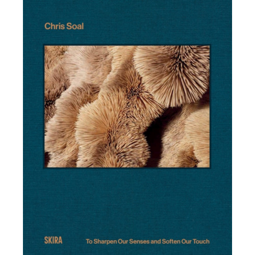 Skira Chris Soal (inbunden, eng)