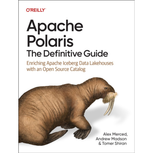 O'Reilly Media Apache Polaris - The Definitive Guide (häftad, eng)