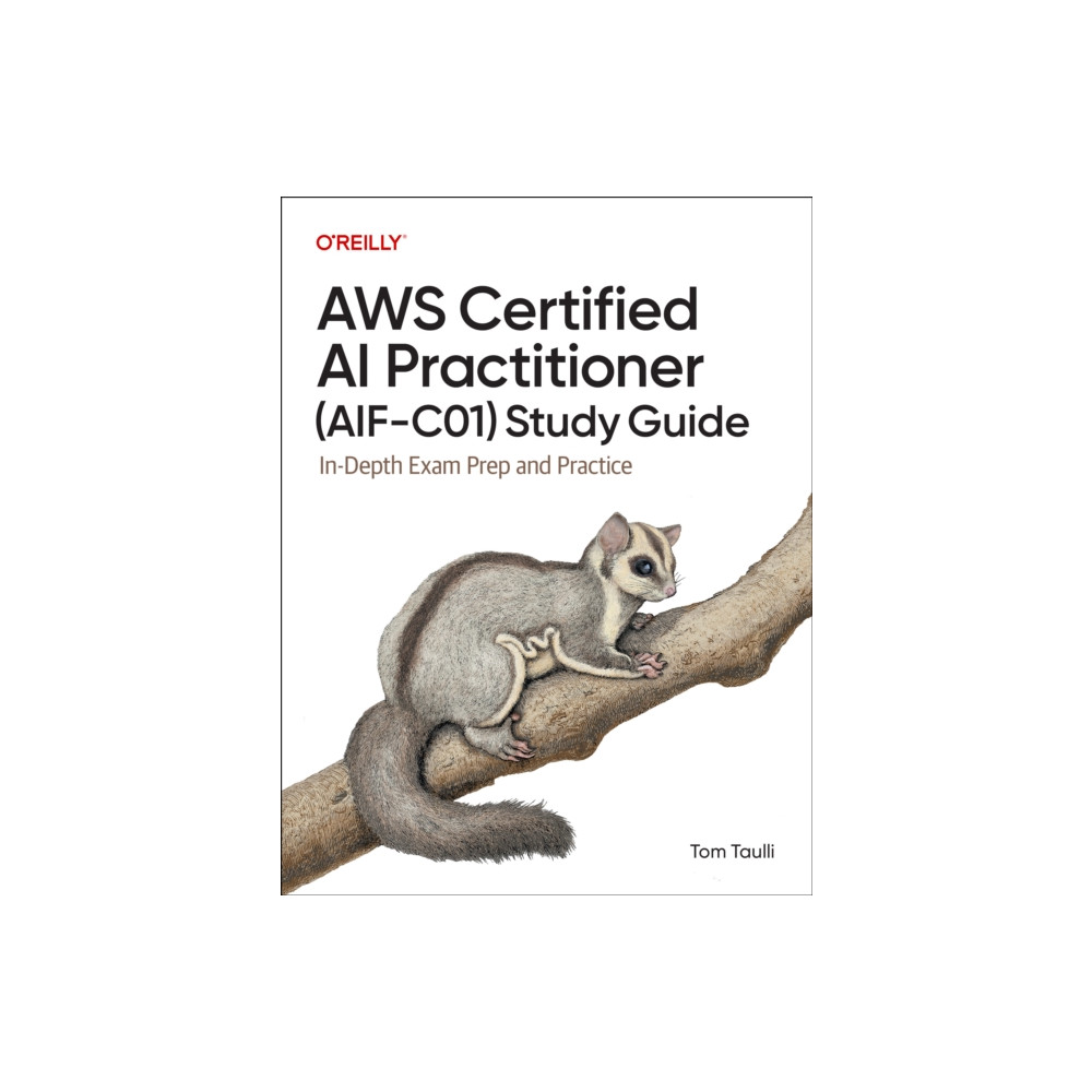 Produktbild för AWS Certified AI Practitioner (AIF-C01) Study Guide (häftad, eng)