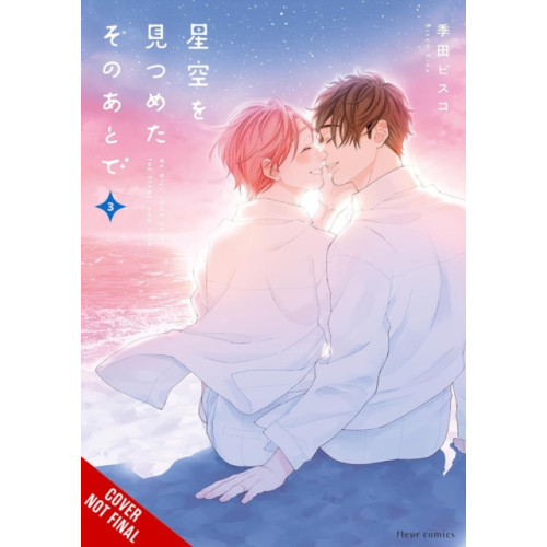Little, Brown & Company After We Gazed at the Starry Sky, Vol. 3 (häftad, eng)