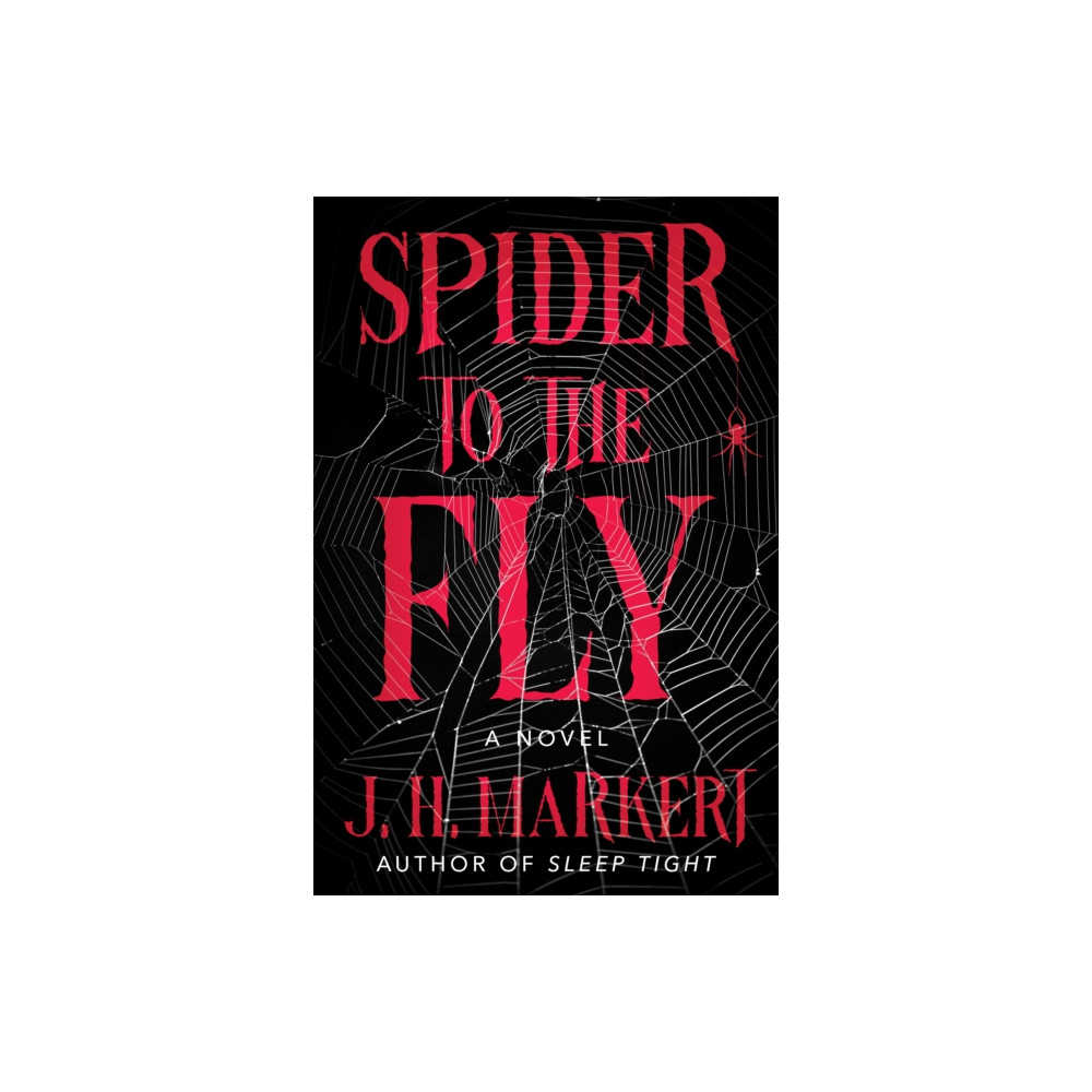 Produktbild för Spider to the Fly (inbunden, eng)