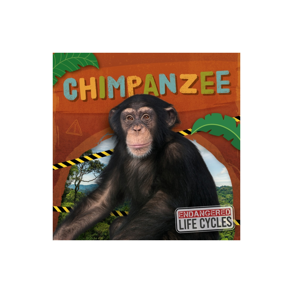 Produktbild för Chimpanzee (häftad, eng)