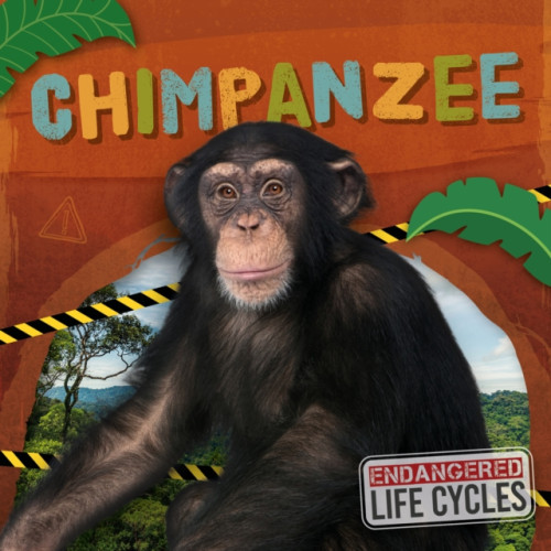 North Star Editions Chimpanzee (häftad, eng)