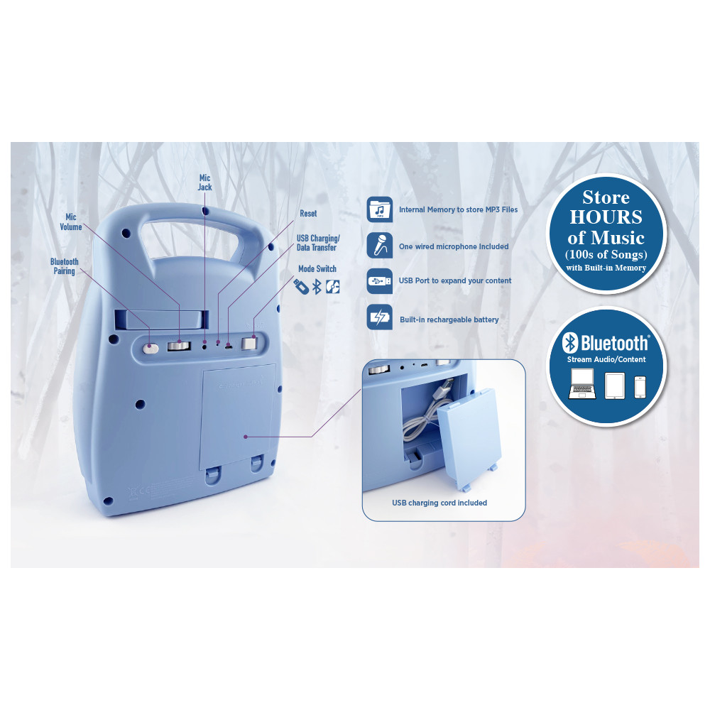 Produktbild för Frost Bluetooth Sing Along Boombox