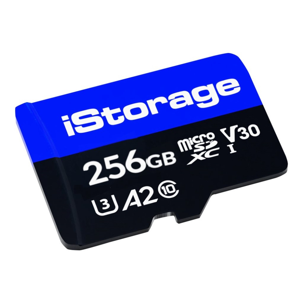 Produktbild för iStorage - flash-minneskort - 256 GB - microSDXC