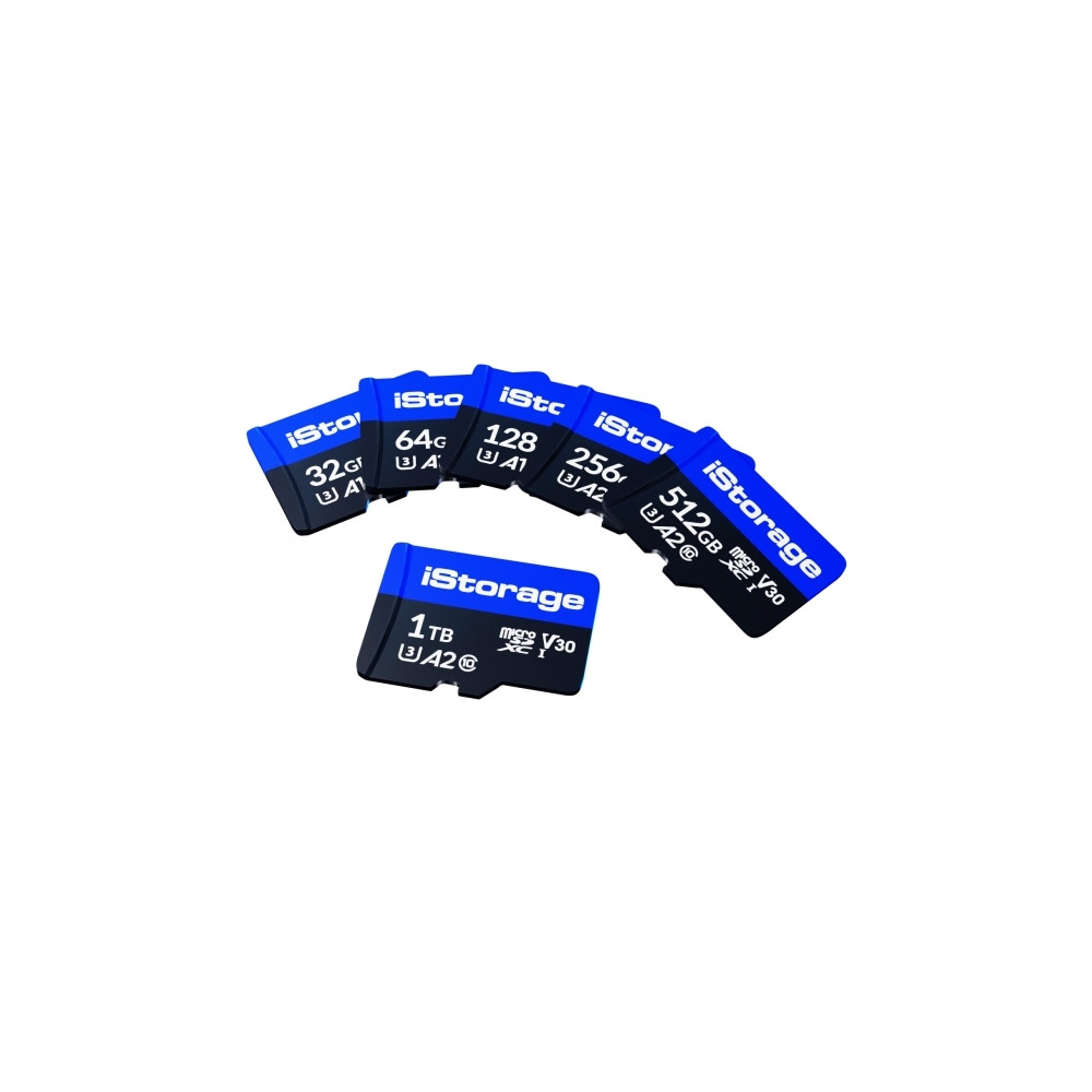 Produktbild för iStorage - flash-minneskort - 256 GB - microSDXC