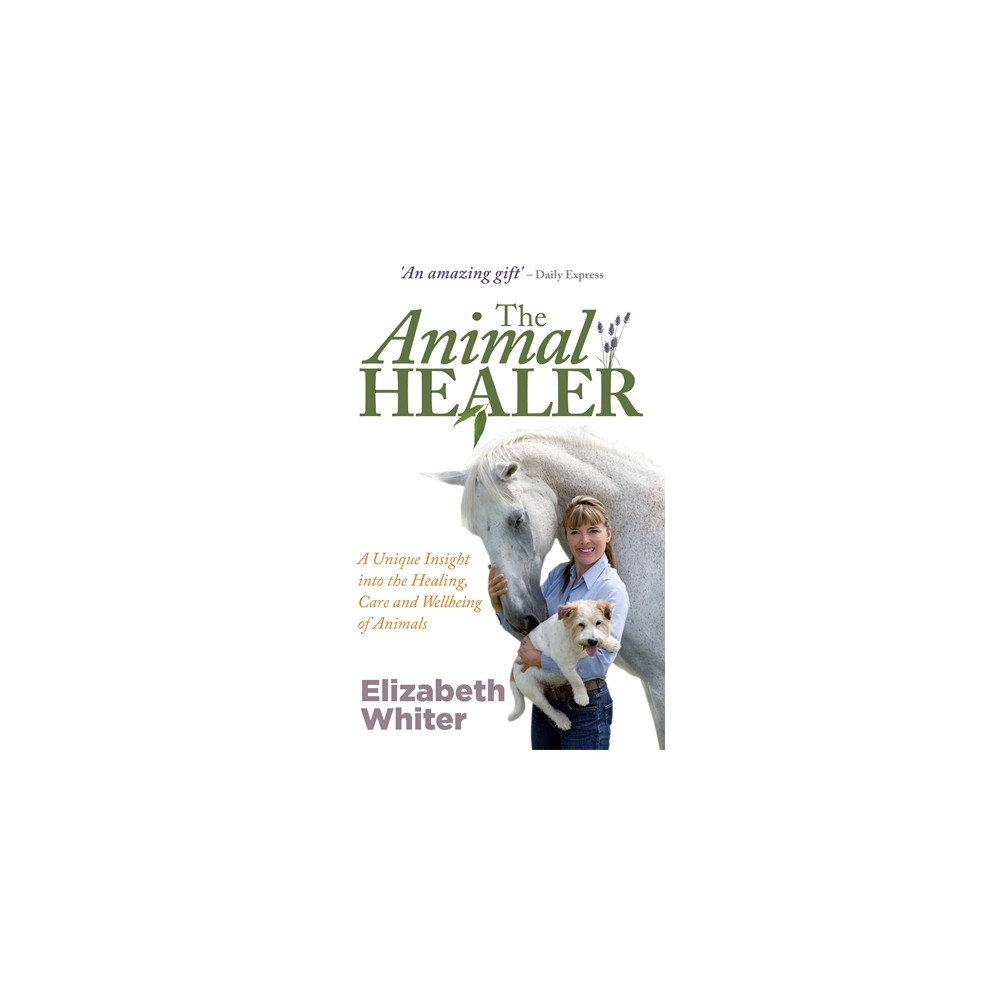 Produktbild för Animal healer - a unique insight into the healing, care and wellbeing of an (häftad, eng)