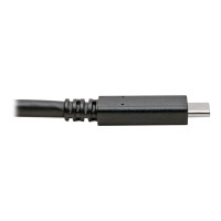 Produktbild för Eaton Tripp Lite Series USB-C Cable (M/M) - USB 3.2, Gen 1 (5 Gbps), Thunderbolt 3 Compatible, 6 ft. (1.83 m) - USB typ C-kabel - USB-C till USB-C - 1.83 m