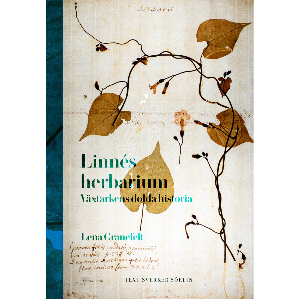 Produktbild för Linnés herbarium : växtarkens dolda historia (inbunden)