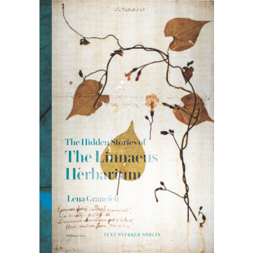 Bokförlaget Arena The hidden stories of the Linnean herbarium (inbunden, eng)
