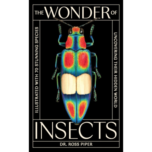 Orion Publishing Co The Wonder of Insects: Uncovering their Hidden World (inbunden, eng)