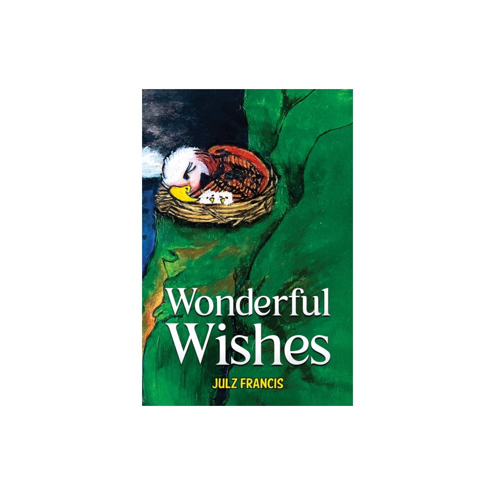 Produktbild för Wonderful Wishes (häftad, eng)