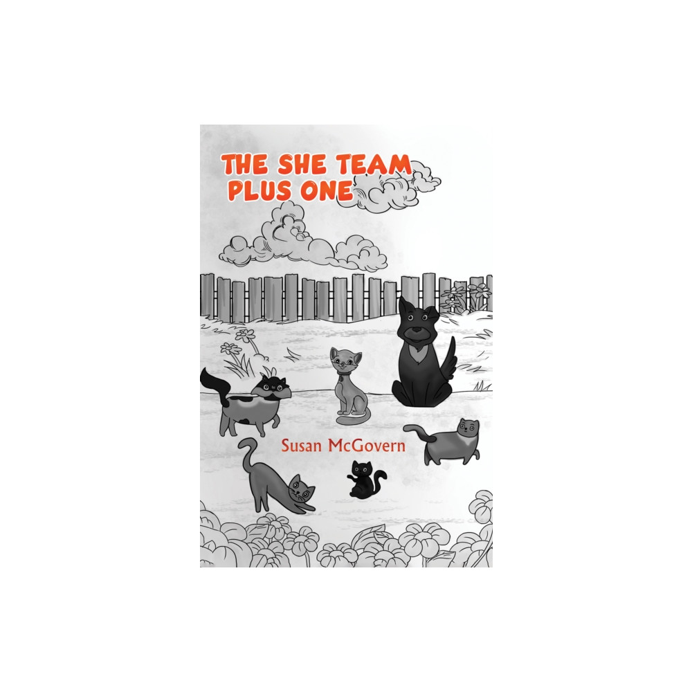 Produktbild för The She Team Plus One (häftad, eng)