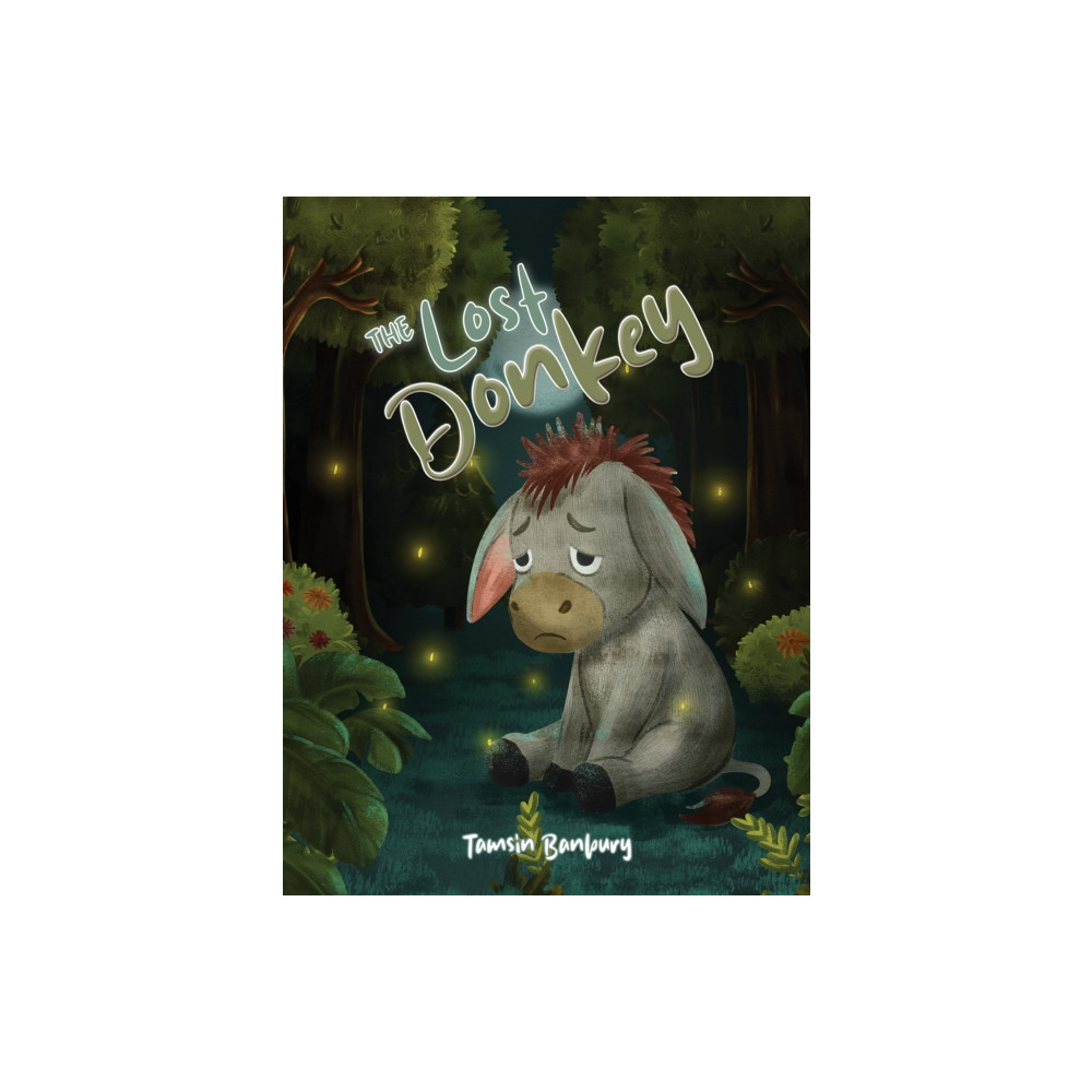 Produktbild för The Lost Donkey (häftad, eng)